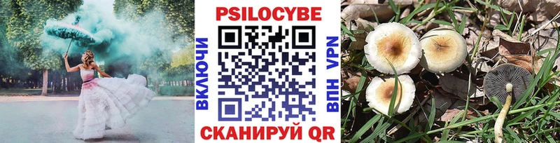 Галлюциногенные грибы MAGIC MUSHROOMS Яранск
